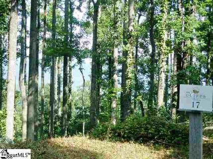 341 Bella Vista Court Cv-Cm-17 Valley, Corbin Mountain, Lot 17