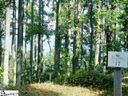 341 Bella Vista Court Cv-Cm-17 Valley, Corbin Mountain, Lot 17 sold home in Zirconia, SC