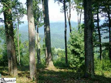 437 Bella Vista Court Cv-Cm-19 Valley, Corbin Mountain, Lot 19