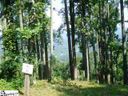 440 Bella Vista Court Cv-Cm-21 Valley, Corbin Mountain, Lot 21 sold home in Zirconia, SC