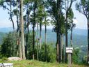 441 Bella Vista Court Cv-Cm-22 Valley, Corbin Mountain, Lot 22 sold home in Zirconia, SC
