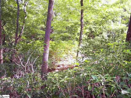 Lot 4 Woods Pond Court sold home in Little Bald Rock Club, Cleveland, SC