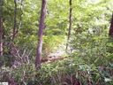Lot 4 Woods Pond Court sold home in Cleveland, SC