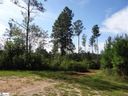 29 Big Jake Pass sold home in Travelers Rest, SC