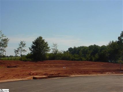 219 Clearridge Way sold home in Robinson Landing, Greer, SC