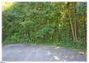245 Lehman Moseley Ridge LOT 16 sold home in Greenville, SC