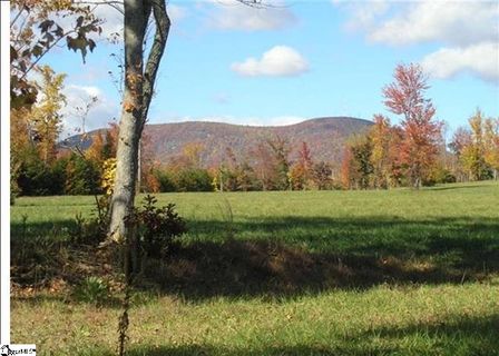 35 Stone Cottage Lane sold home in Meadows Of Campbell Creek, Landrum, SC