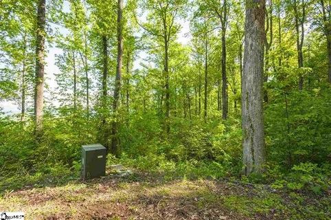 115 Greenedge Lane (Lot 13) sold home in The Ridges At Paris Mountain, Greenville, SC