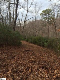 Panther Mountain Road Lot 4
