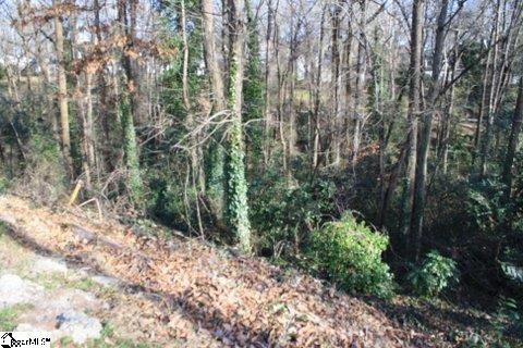 39 English Ivy Lane Lot 39 sold home in Avondale West, Greenville, SC