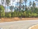 2 Club Cart Drive sold home in Travelers Rest, SC