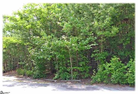 208 Lehman Moseley Ridge LOT 11 sold home in Mountain Edge, Greenville, SC