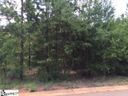 717 S Tiger Lily Lane sold home in Lyman, SC