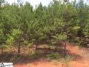 712 S Tiger Lily Lane sold home in Lyman, SC