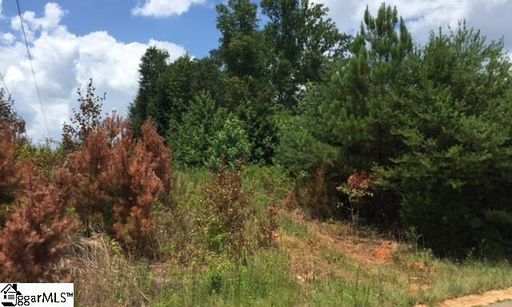 704 S Tiger Lily Lane