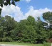 24 Verona Circle Lot 12 sold home in Simpsonville, SC