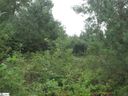 342 Woodmere Drive Lot 65 sold home in Pickens, SC