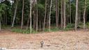 27 Meadow Reserve Place Lot 20 sold home in Simpsonville, SC