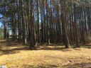 309 Meadow Tree Court sold home in Travelers Rest, SC