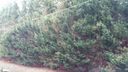 218 Barry Drive sold home in Greer, SC