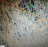 00 Shepherd Springs Road sold home in Cleveland, SC