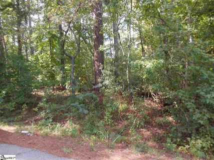 00 Cambridge Drive Lot 17 sold home in Brookwood, Greenville, SC