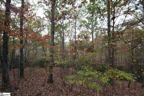 29 Danna View Court sold home in Woodlands At Cleveland, Marietta, SC