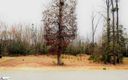 176 Carolina Oaks Drive sold home in Fountain Inn, SC