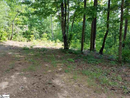 119 Oolenoy Court Lot 42