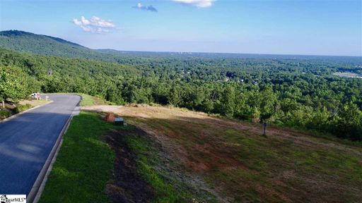 6 Tropicana Court Lot 1 sold home in City Lights, Greenville, SC