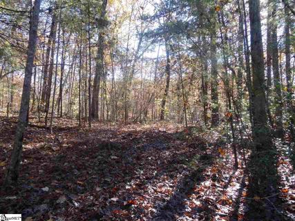 107 Hunters Ridge sold home in Table Rock, Pickens, SC