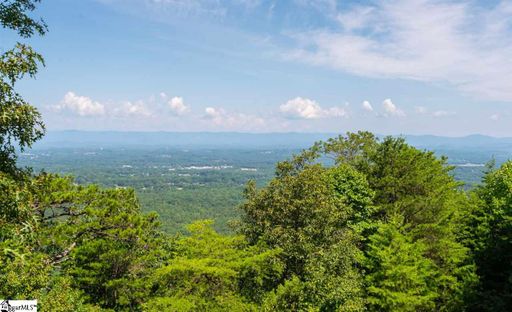 151 Old Altamont Ridge Road
