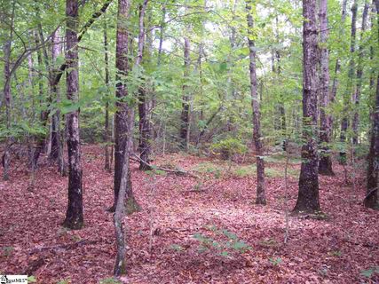 00 Shepherd Springs Drive Lot 12A Shepherd Springs