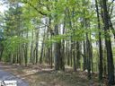 22 Rhone Valley Lane sold home in Travelers Rest, SC
