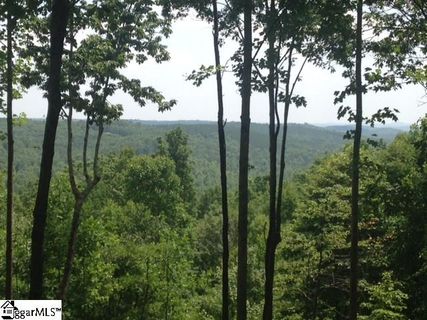 355 Blue Bonnet Trail