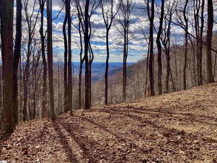 1347 Panther Park Trail