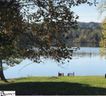 102 Yacht Drive sold home in Laurens, SC