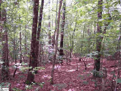 00 Shepherd Springs Drive Lot 12B Shepherd Springs