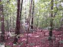 00 Shepherd Springs Drive Lot 12B Shepherd Springs sold home in Cleveland, SC