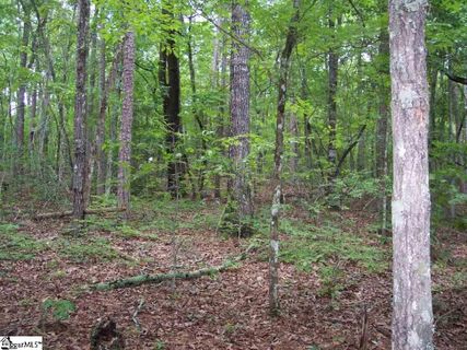 23B Curts Way sold home in Mountain Ridge Estates, Cleveland, SC