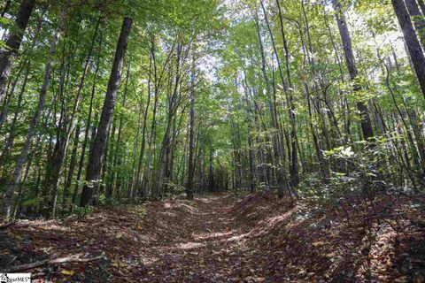 23 Belk Road sold home in Burban Creek Plantation, Travelers Rest, SC