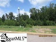 260 Audubon Acres Drive Lot 10