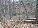 208 & 206 Windsor Road sold home in Greer, SC