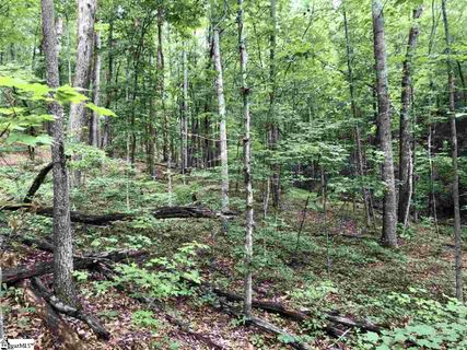 44 Danna View Court sold home in Woodlands At Cleveland, Marietta, SC