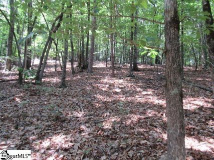 292 Curts Way sold home in Mountain Ridge Estates, Cleveland, SC