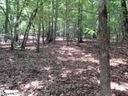292 Curts Way sold home in Cleveland, SC