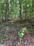 326 Teakwood Drive Lot 65 sold home in Easley, SC