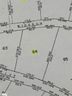 318 Teakwood Drive Lot 64 sold home in Easley, SC