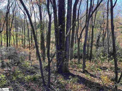 The Cliffs Parkway Lot 33B