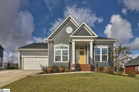Homes in Perry Crossing, Greer